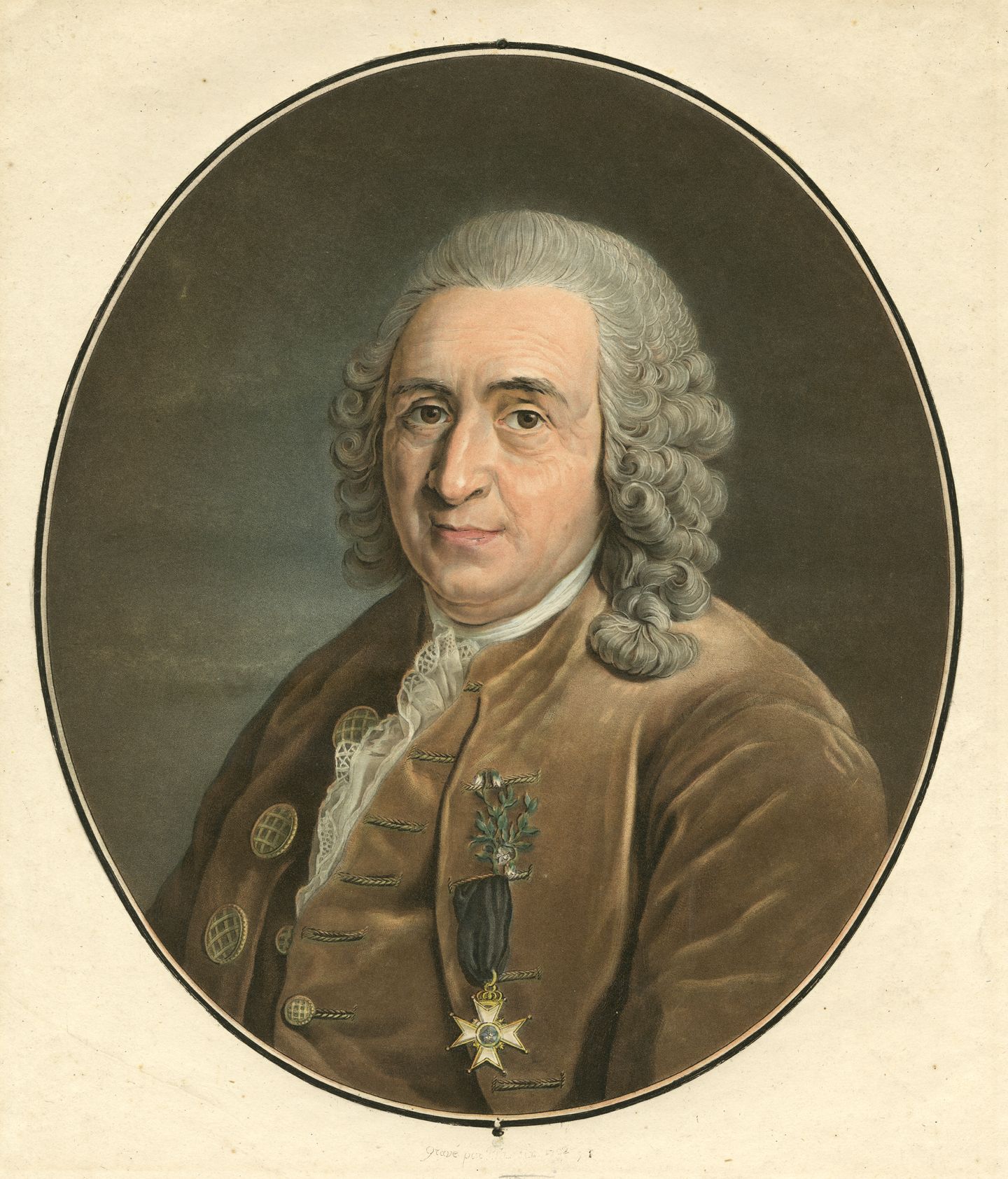 Carl Linnaeus The Royal Society Science In The Making Carl Linnaeus The Royal Society Science In The Making